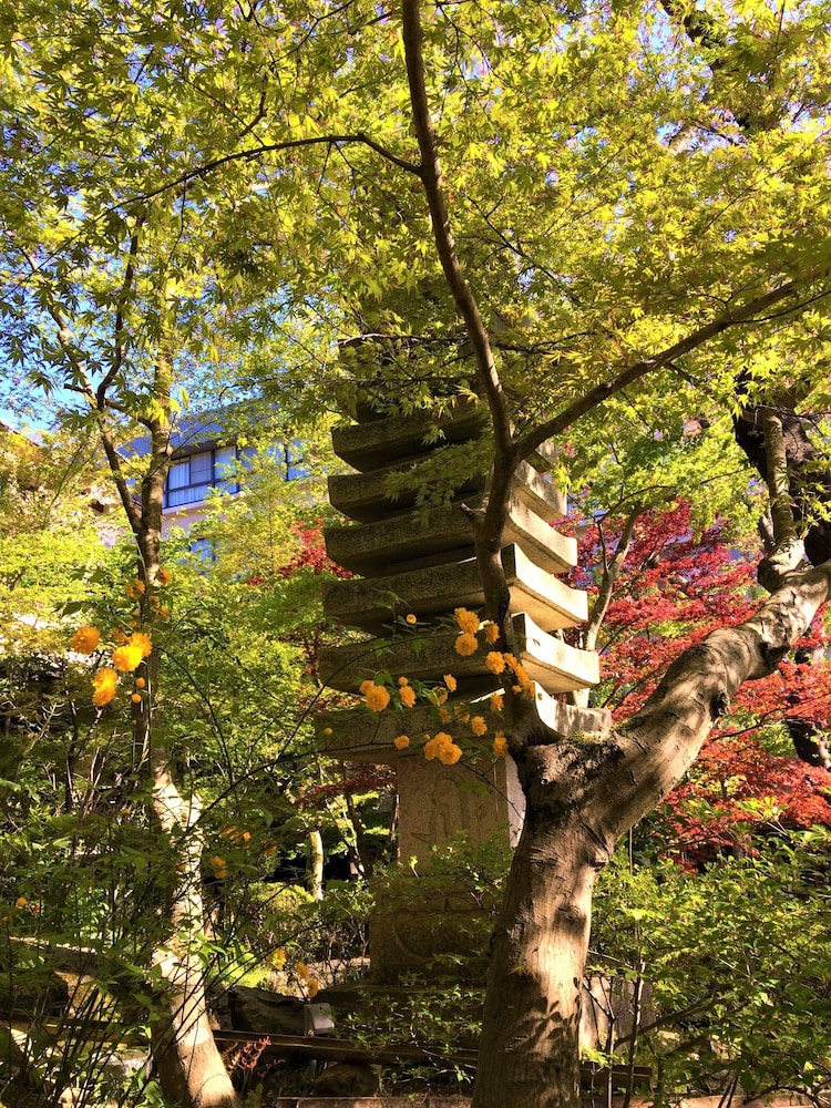 旅館 然林房 京都