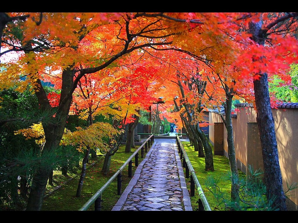 旅館 然林房 京都