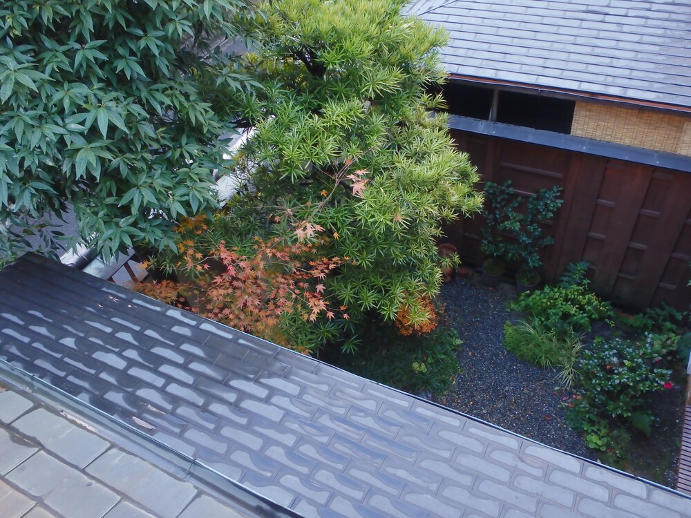 禿庵 京都
