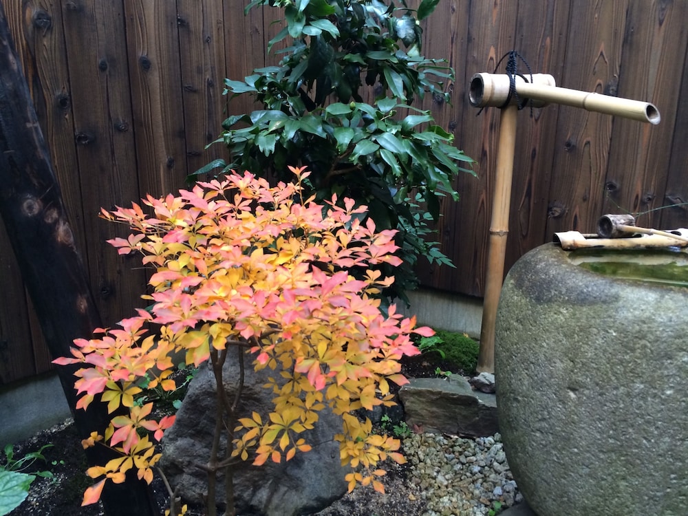 雅順 京都