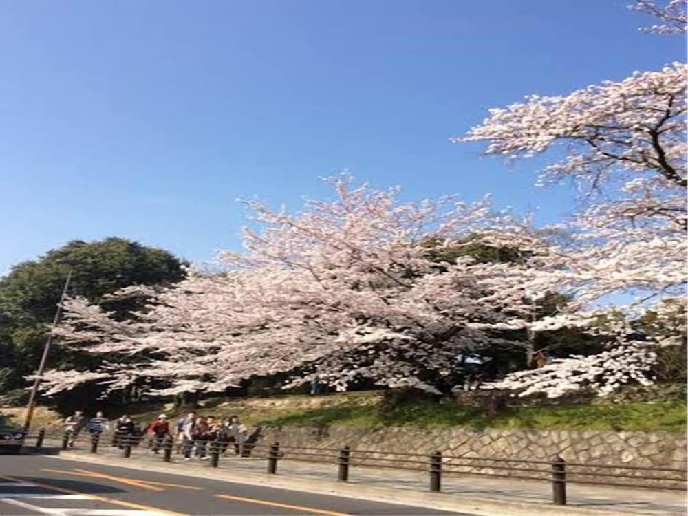 京都東山HALEてまり 京都