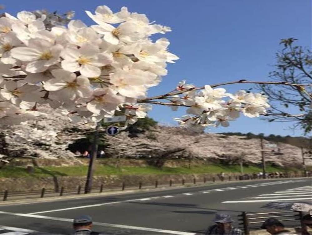 京都東山HALEてまり 京都