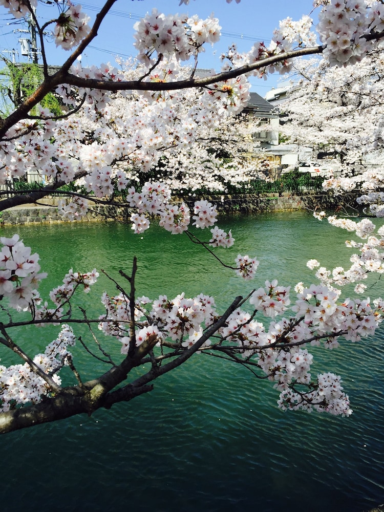 平安レジデンス 五山 京都