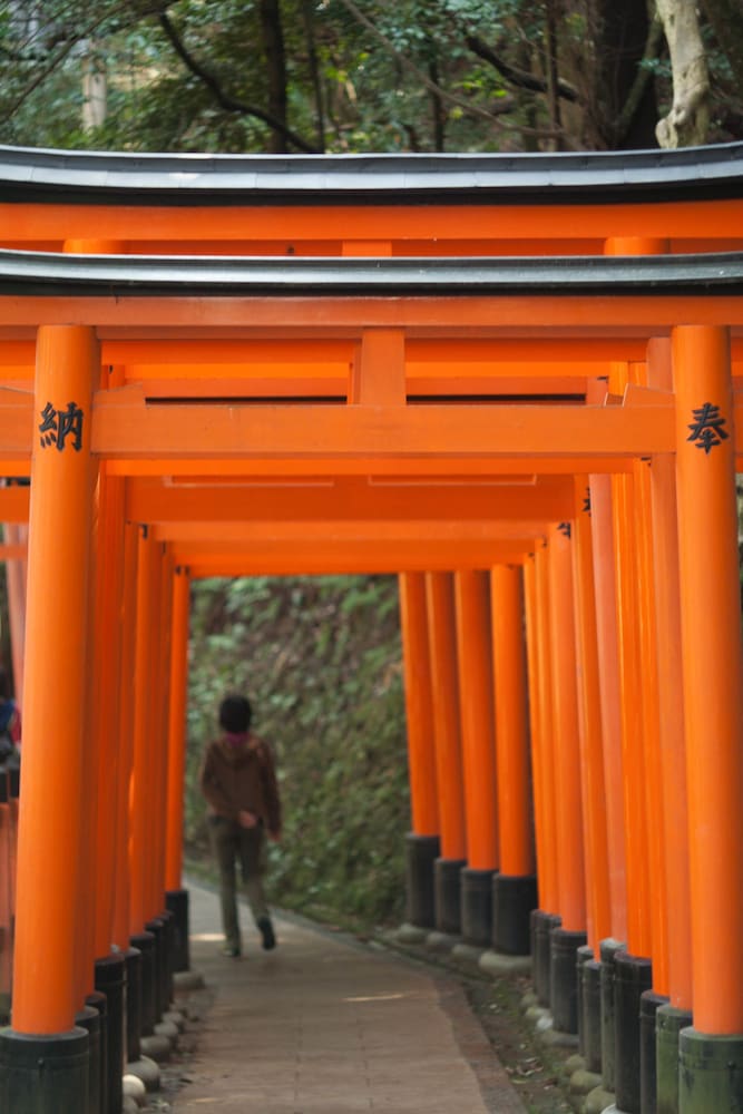 SEIBIDO INN 京都