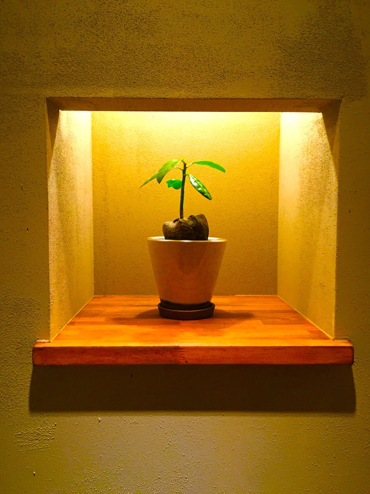 FAIRFIELD HOUSE 京都