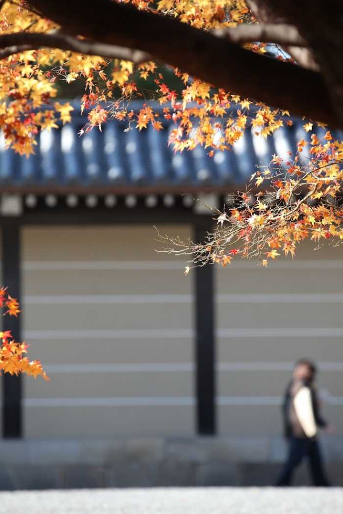 京町屋ゲストハウス 誠や 京都