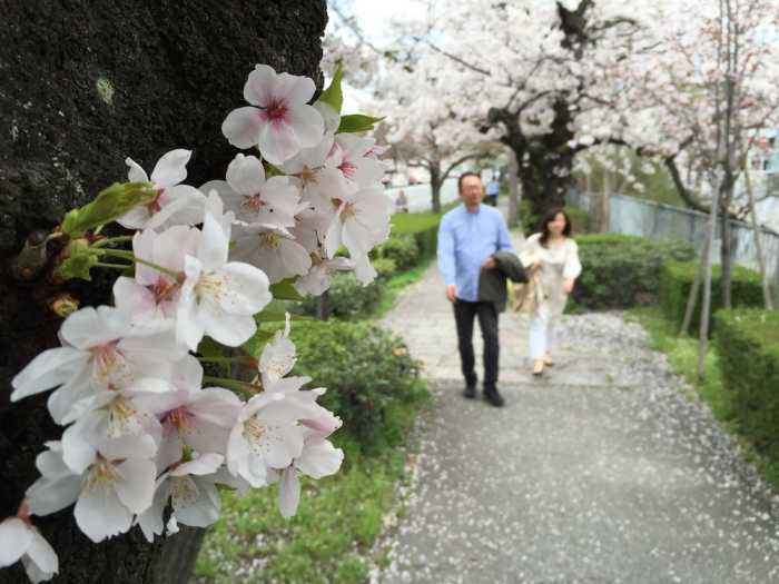 京町屋ゲストハウス 誠や 京都