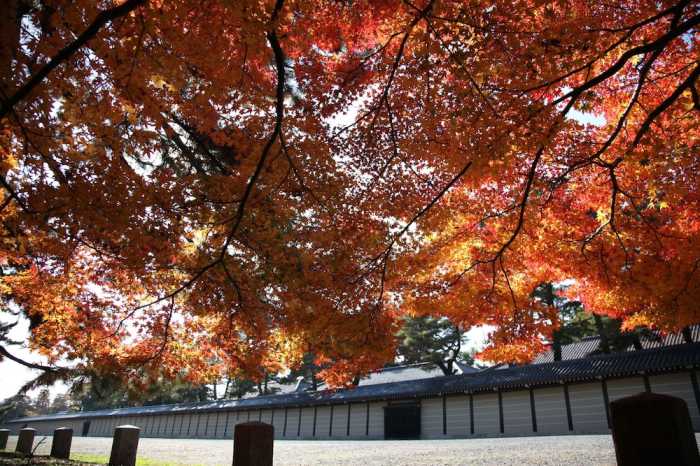 京町屋ゲストハウス 誠や 京都