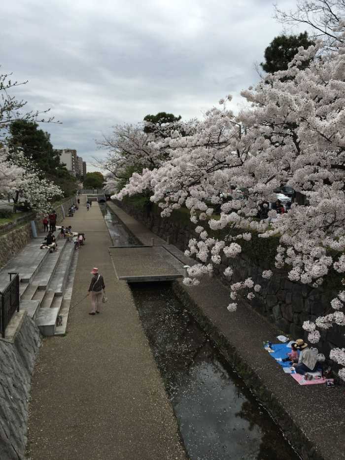京町屋ゲストハウス 誠や 京都