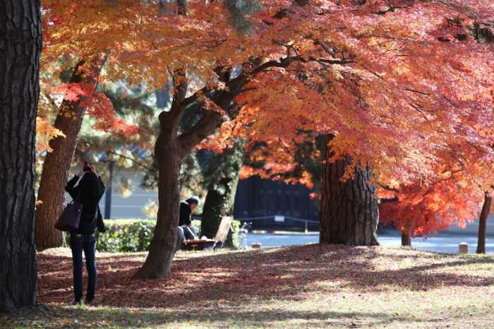 京町屋ゲストハウス 誠や 京都