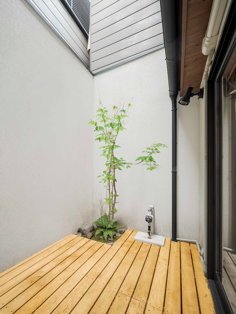あおしだ 京都
