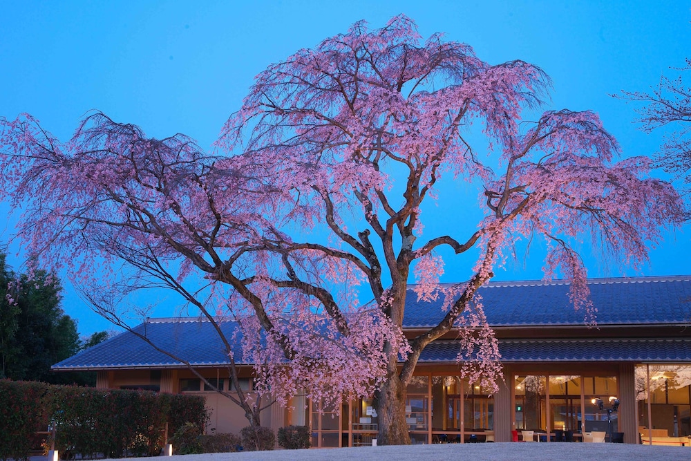 京都 / 宇多野ユースホステル 京都
