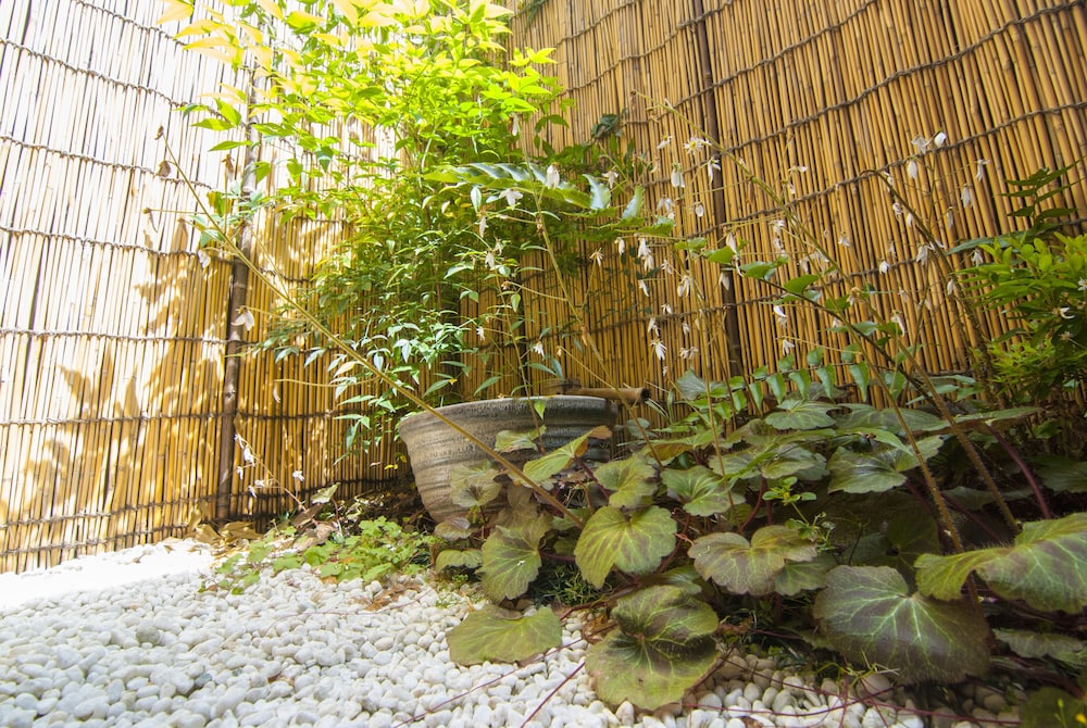 左馬寮庵 京都