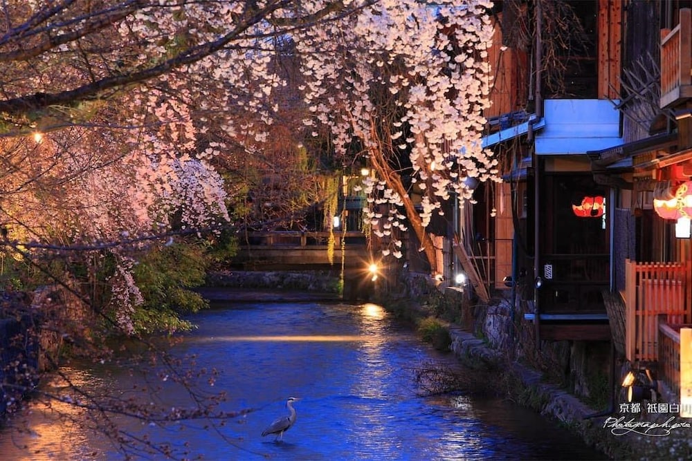 左馬寮庵 京都