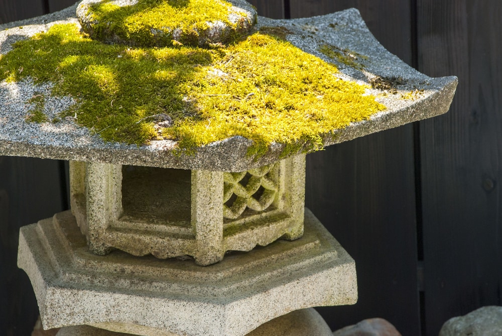 夢まぼろし 京都