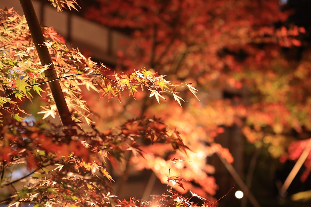 町家 葵 KYOTO STAY 葵ホテル 南禅寺別邸 京都