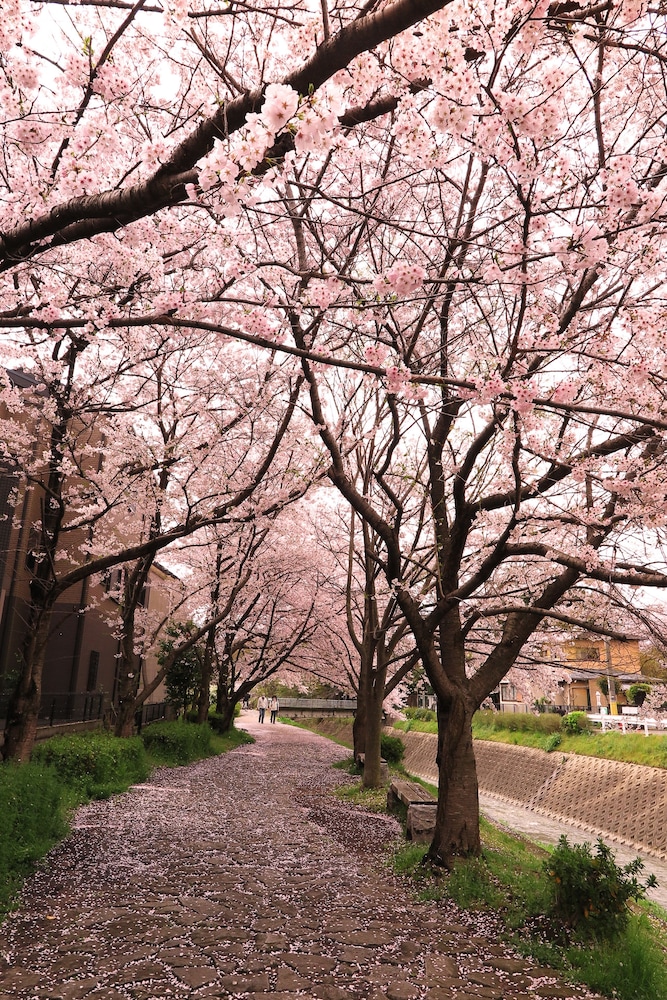 和の蔵 京都