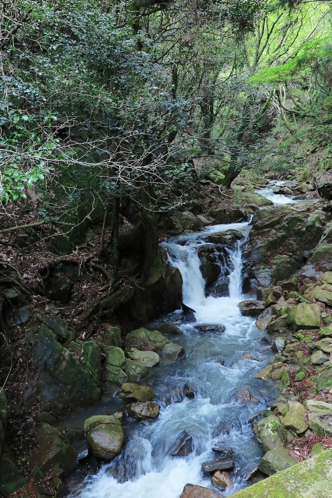 和の蔵 京都