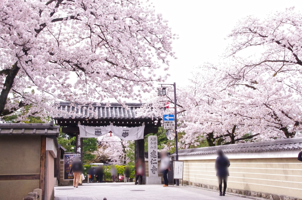 RESISTAY 八坂の塔 京都