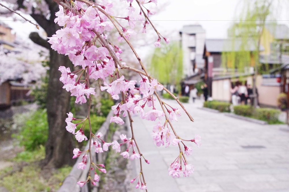 RESISTAY 八坂の塔 京都