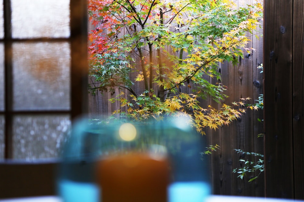 中乃庵 京都