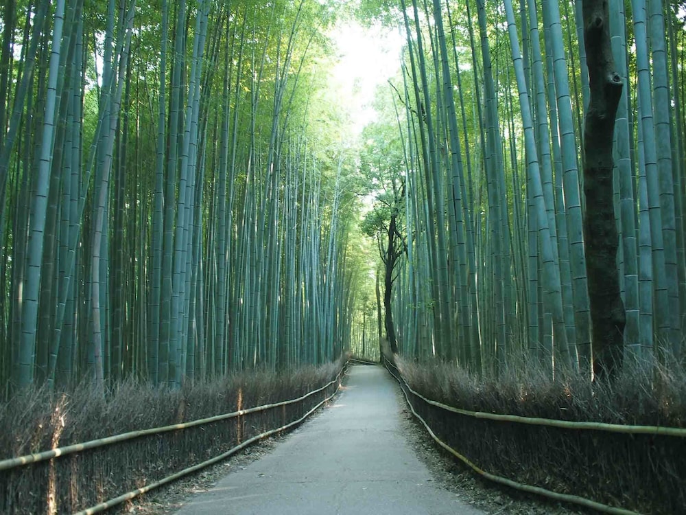 ゲストハウス京都イン 京都