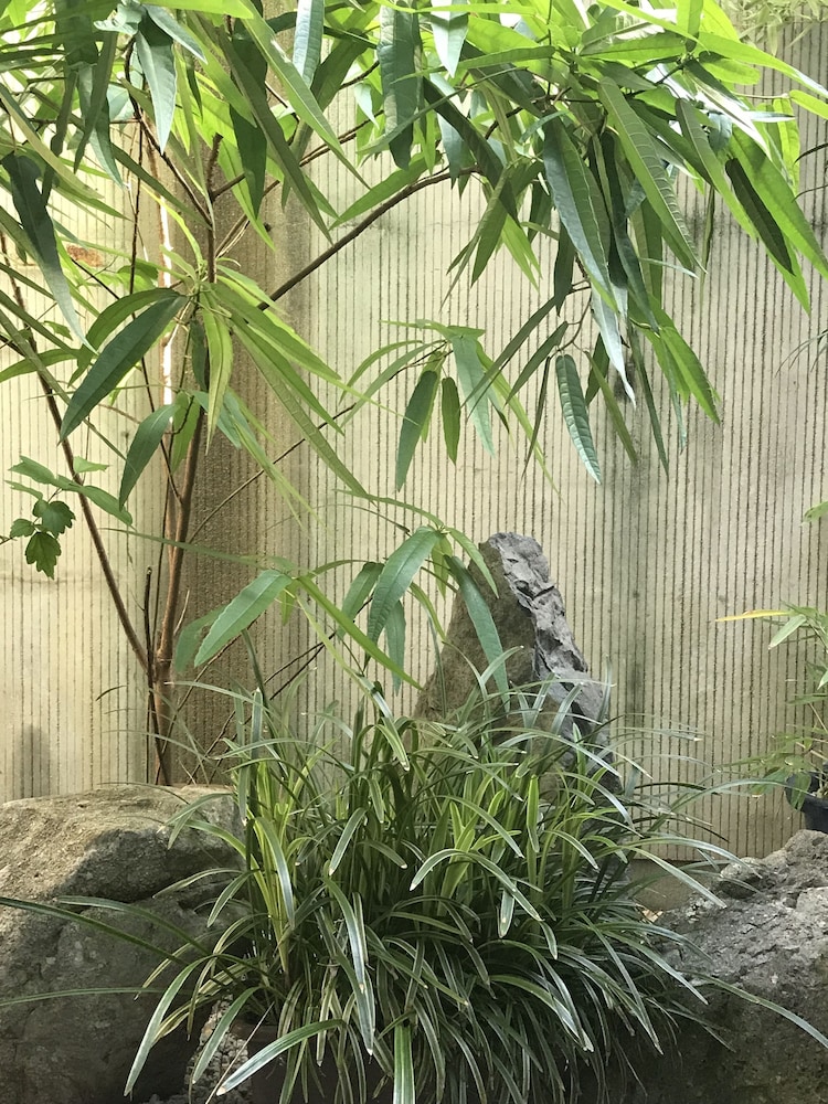 和洛ハウス 京都