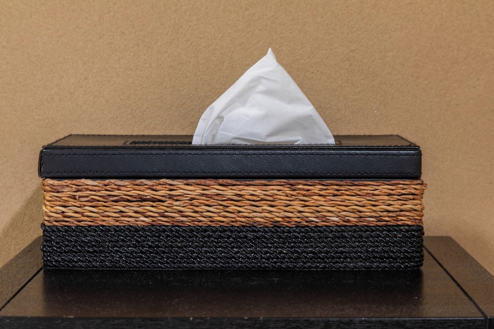 SHIKI HOMES 春 京都