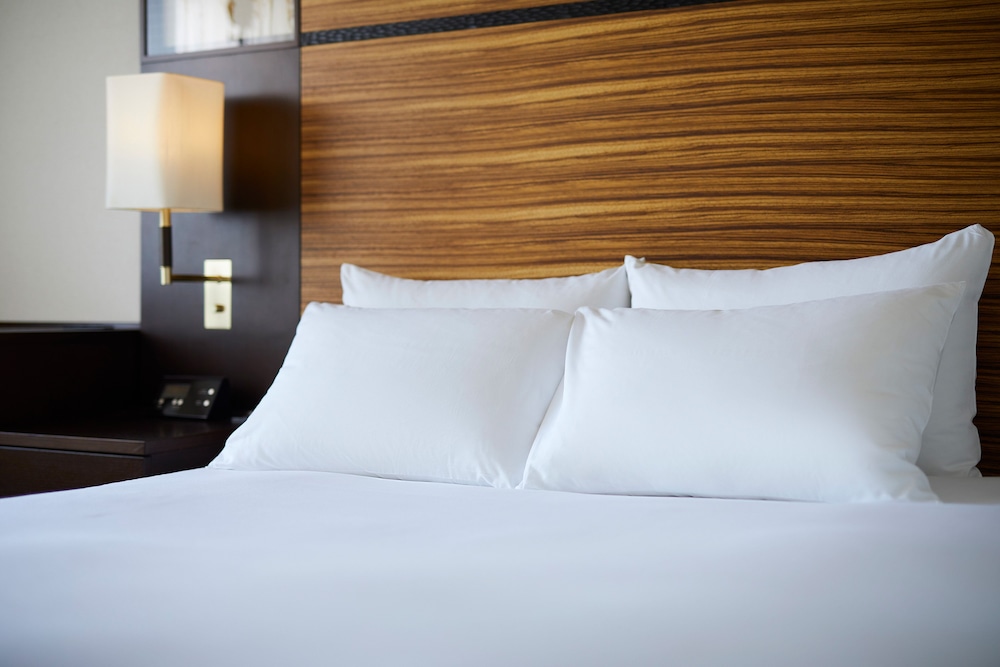 ANAクラウンプラザホテル千歳 バイ IHG 札幌