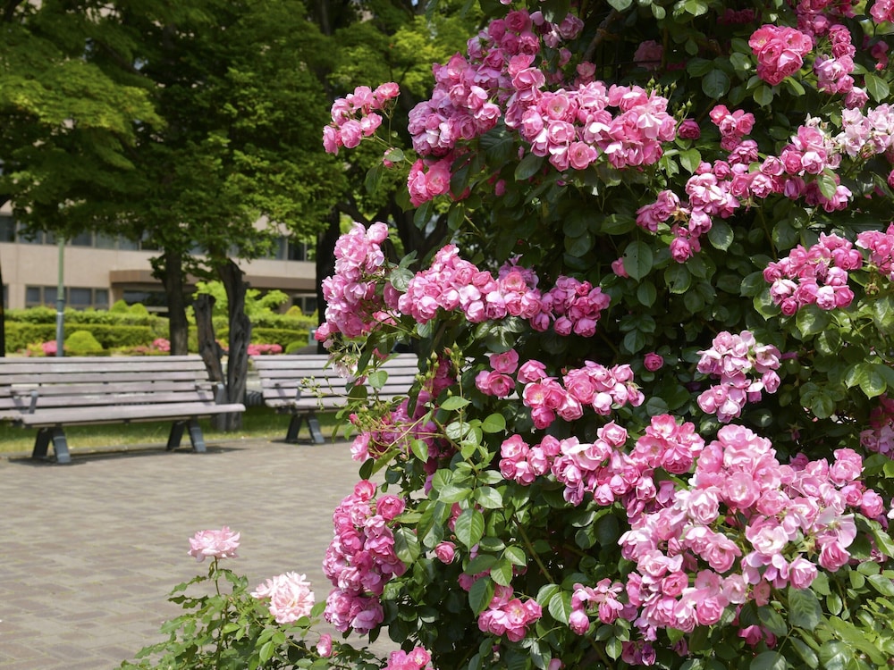 札幌ビューホテル 大通公園 札幌