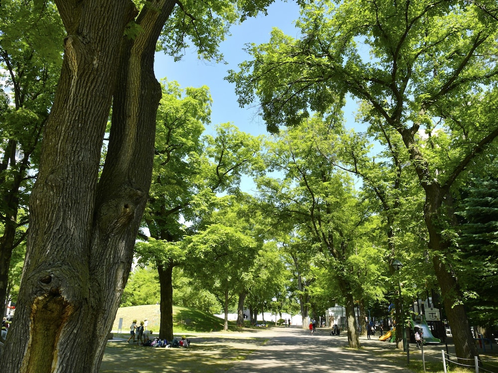 札幌ビューホテル 大通公園 札幌