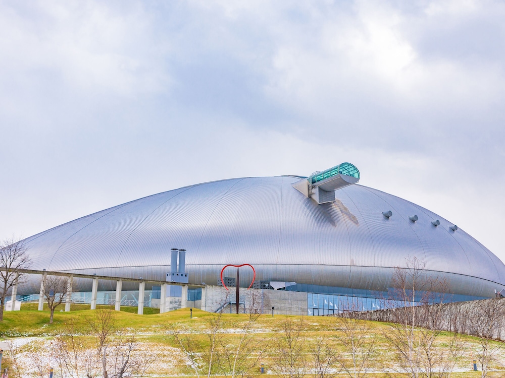 東横 INN 札幌駅西口北大前 札幌