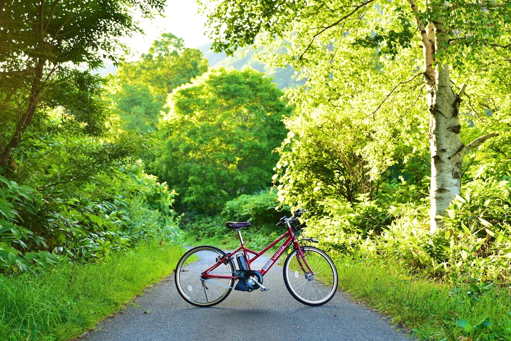 定山渓温泉 花もみじ 札幌