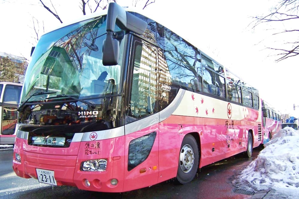 定山渓温泉 花もみじ 札幌