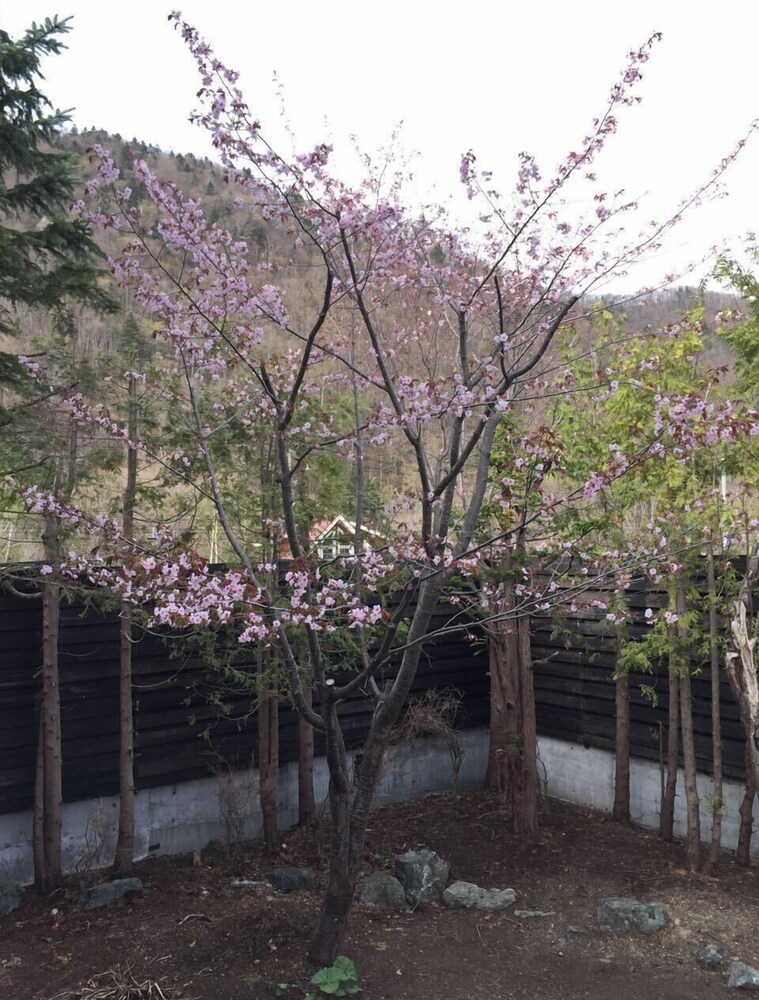温泉旅館錦和荘 札幌