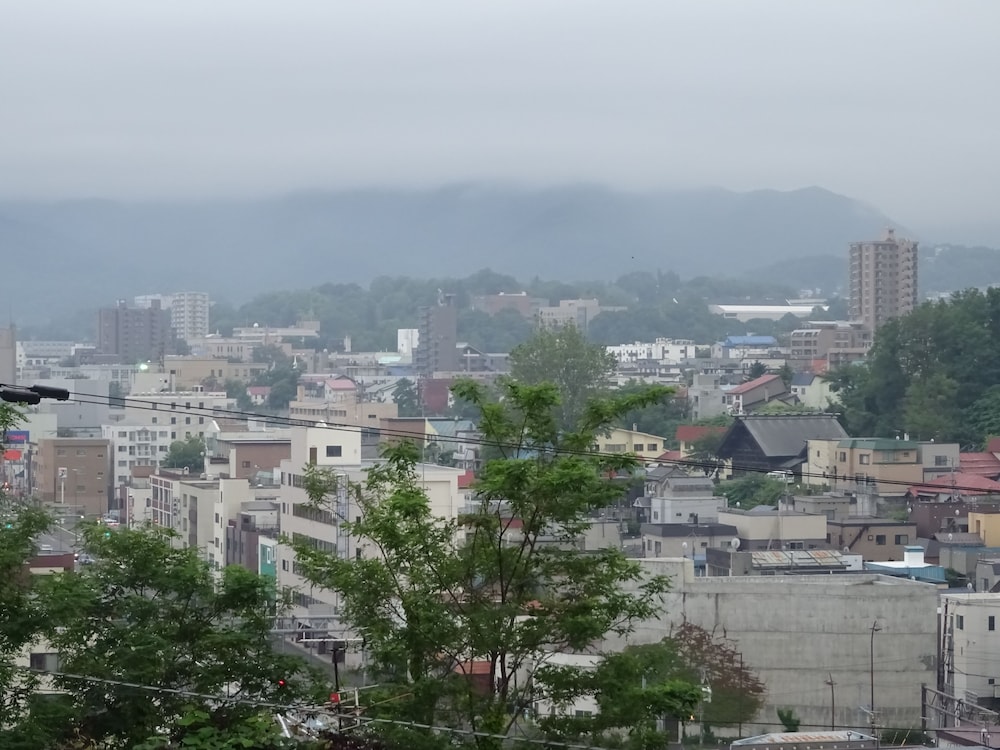 小樽ゲストハウス樽音 札幌