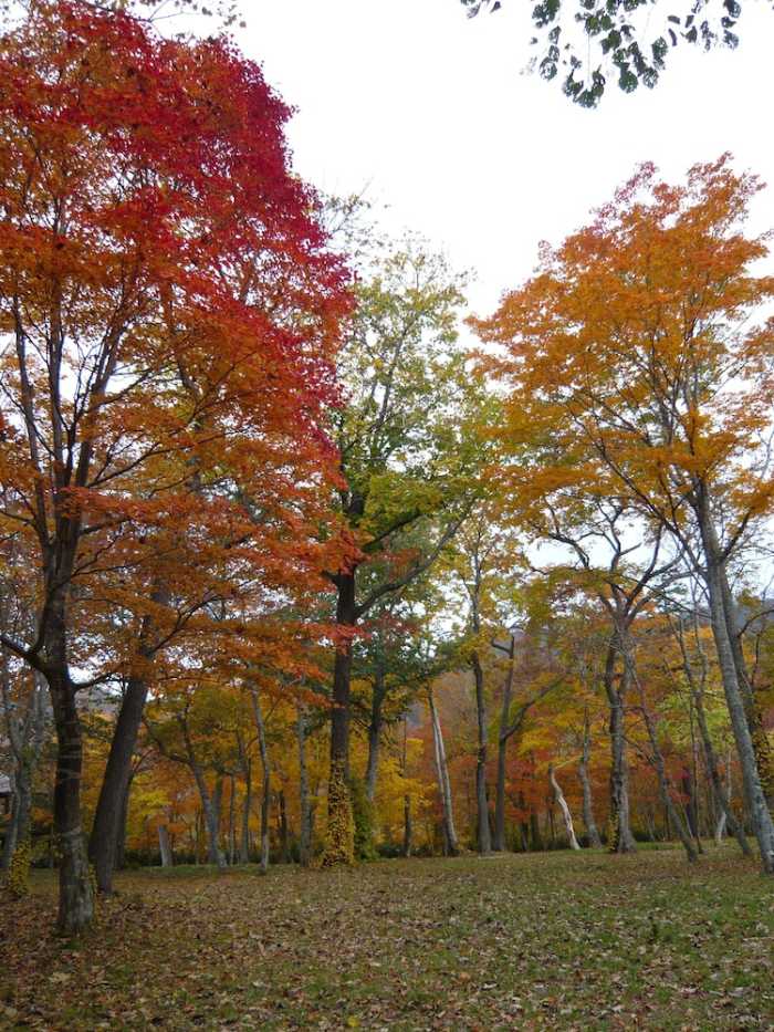 休暇村 支笏湖 札幌