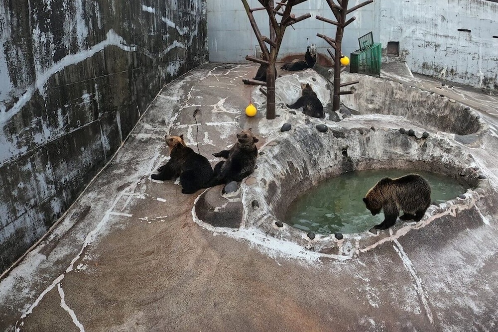 HOTEL COCOA (ホテル ココア) 札幌