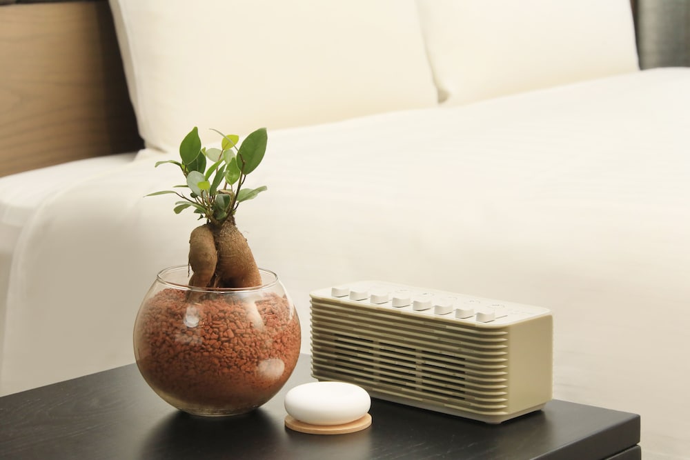 クインテッサホテル札幌すすきの63 RELAX&SPA 札幌