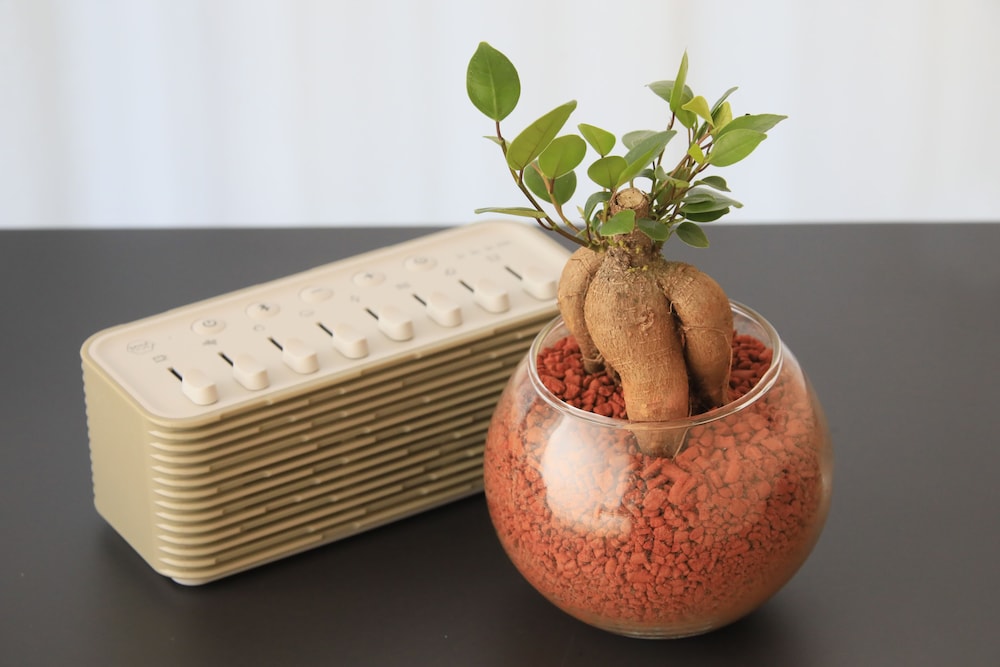 クインテッサホテル札幌すすきの63 RELAX&SPA 札幌