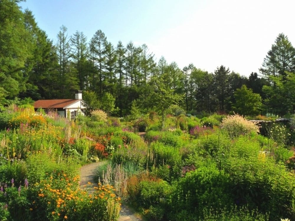 天然温泉 紫雲の湯 ラビスタ富良野ヒルズ 札幌