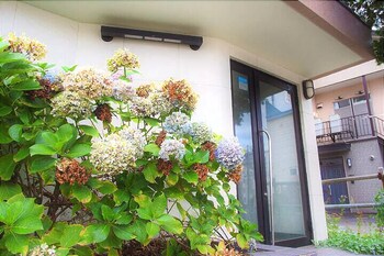 TOYO36-205 札幌
