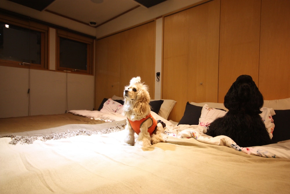 SAPPORO DOME FRONT HOUSE 札幌