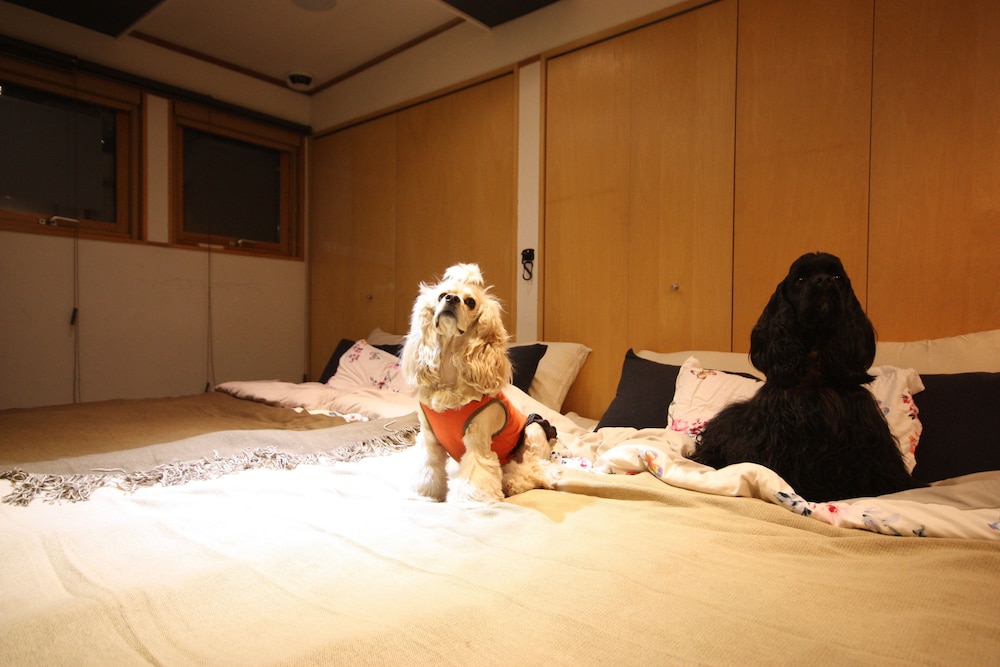 SAPPORO HIRAOKA DOG HOTEL 札幌