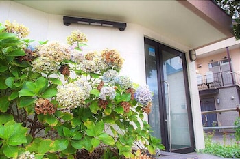 TOYO36-201 札幌