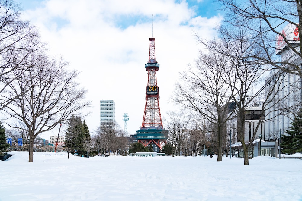 ザ ノット 札幌 札幌