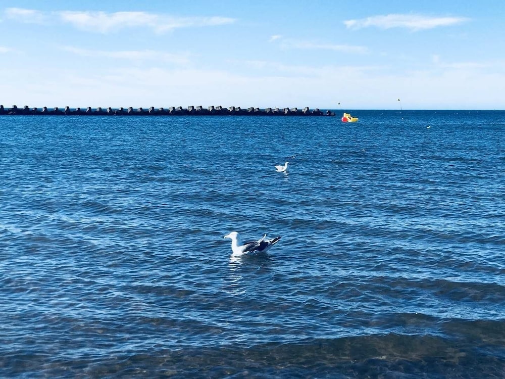 サンセットビーチ銭函 DIVA MII 岩盤浴別荘 札幌