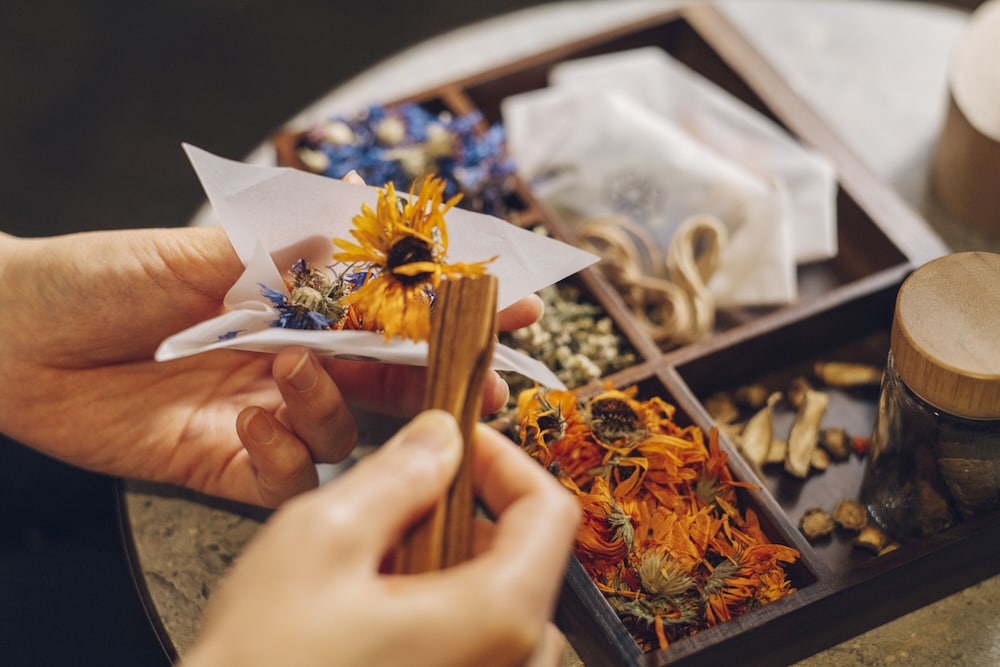 界 ポロト 札幌