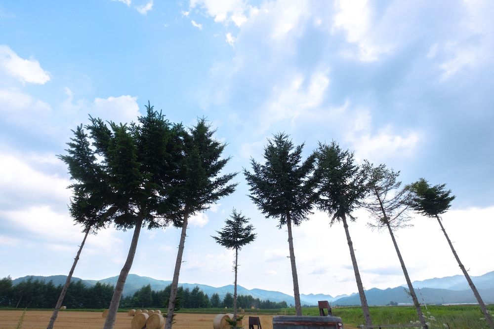 FURANO LOG HOUSE FARM RESORT 札幌