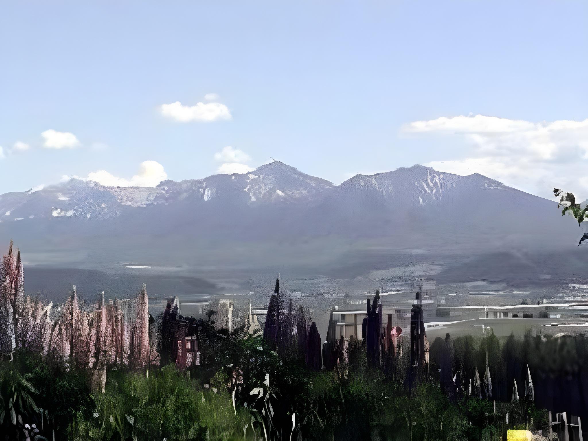 ログコテージ ひまわり 札幌